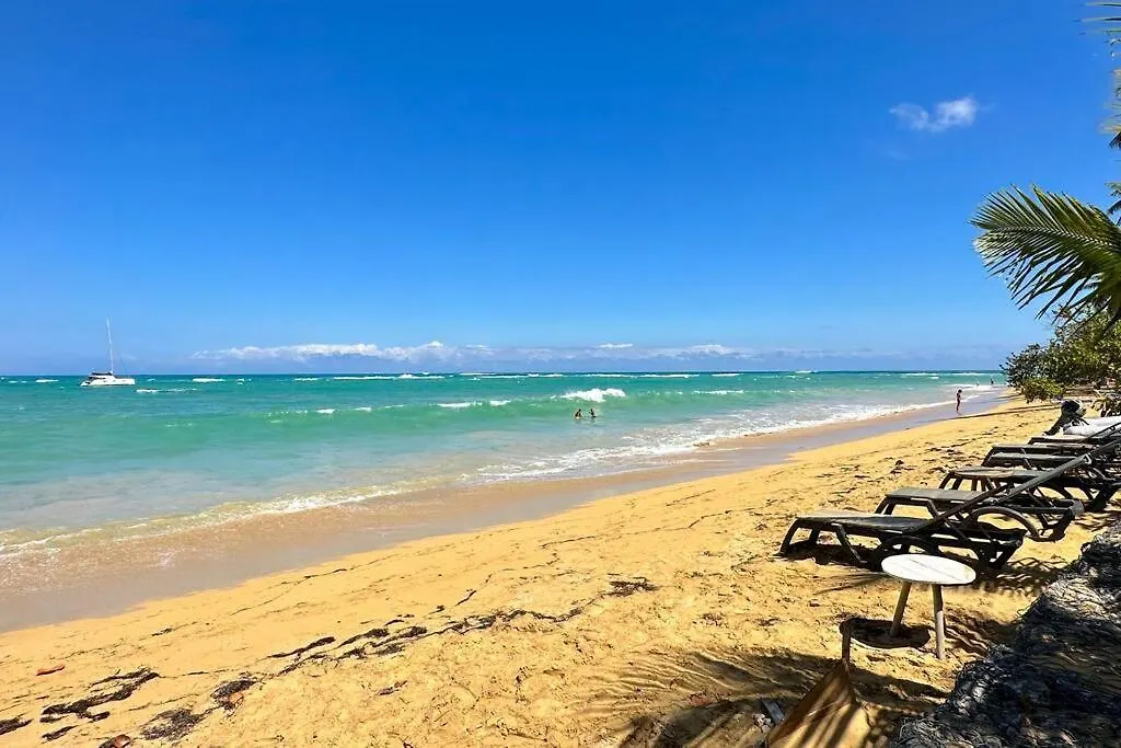 La Fenice Beachfront 3 Bedroom With Parking Las Terrenas República Dominicana